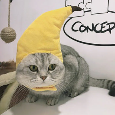 Funny Pet Hat - Tropical (Banana + Pineapple + Sunflower)