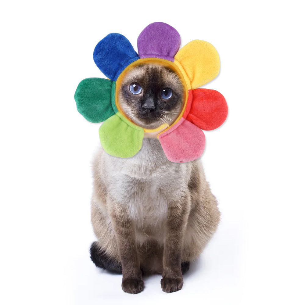 Funny Pet Hat - Complete 6-Pack (Best Value)