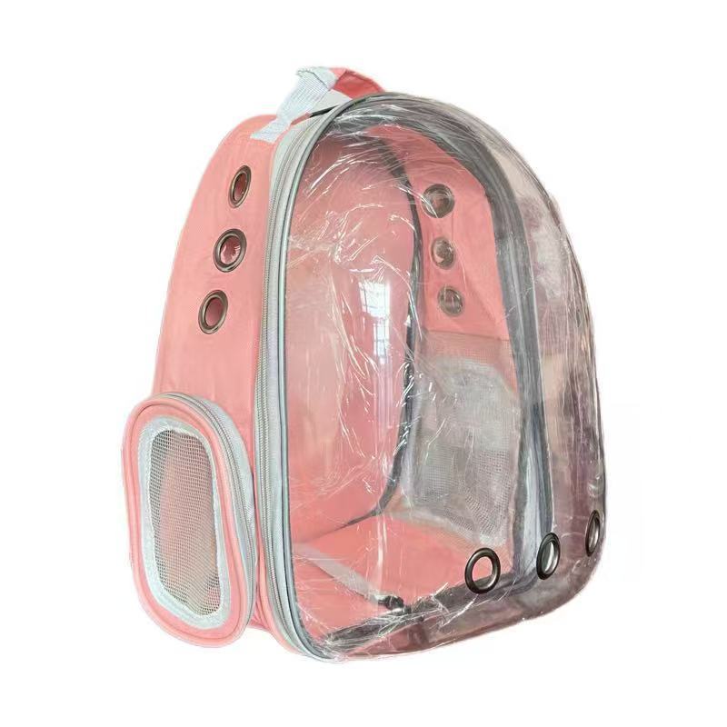 Backpack - Transparent Pink